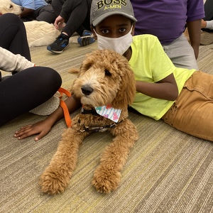 Fundraising Page: Allison Howard